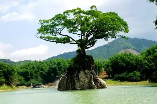 惠州龙门景区,中国天然氧吧惠州龙门
