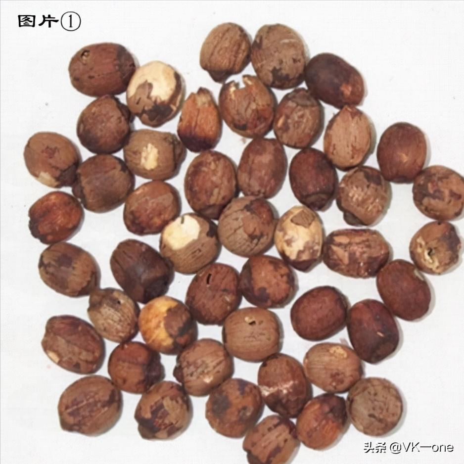 农村80后才看得懂的图和知道的经历