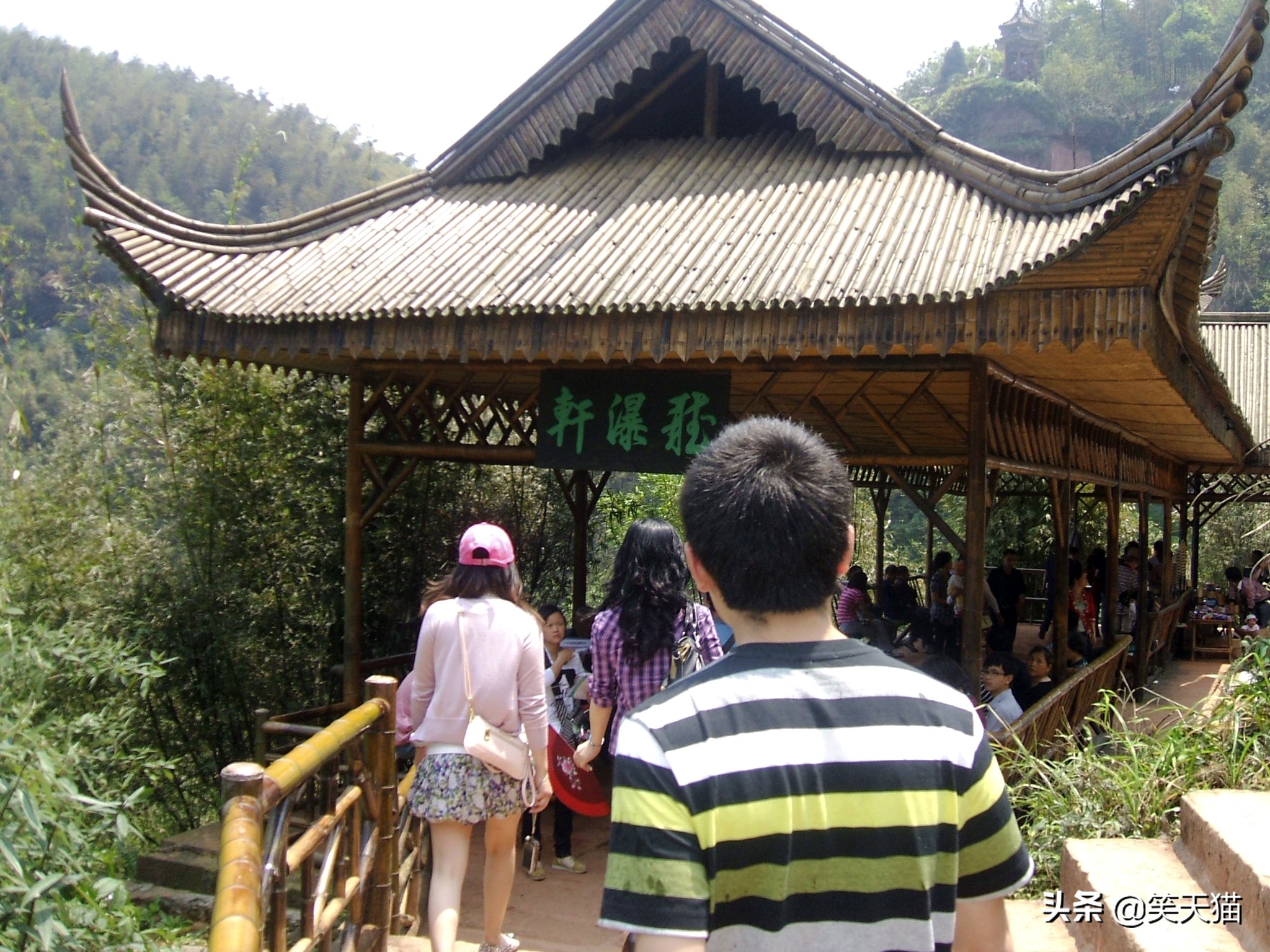 四川宜宾竹海风景,宜宾蜀南竹海全视频