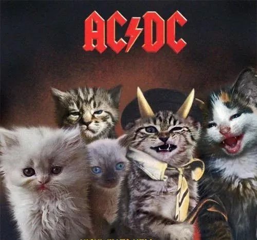 新手买电吉他需要准备什么,新手买电吉他都需要什么设备