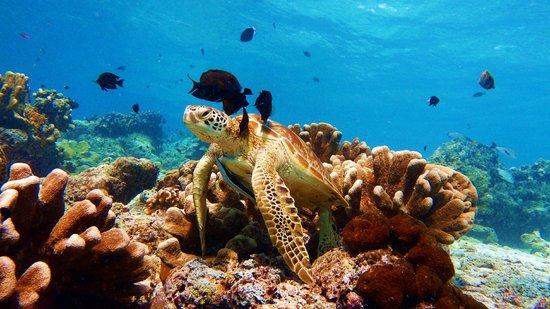 十个最适合冬天度假的绝美海岛,10个好玩又便宜的海岛