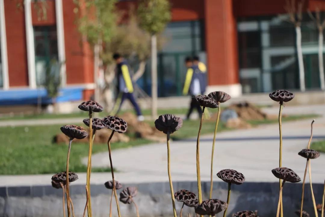 石家庄十五中是几梯队,石家庄15中为啥没初中