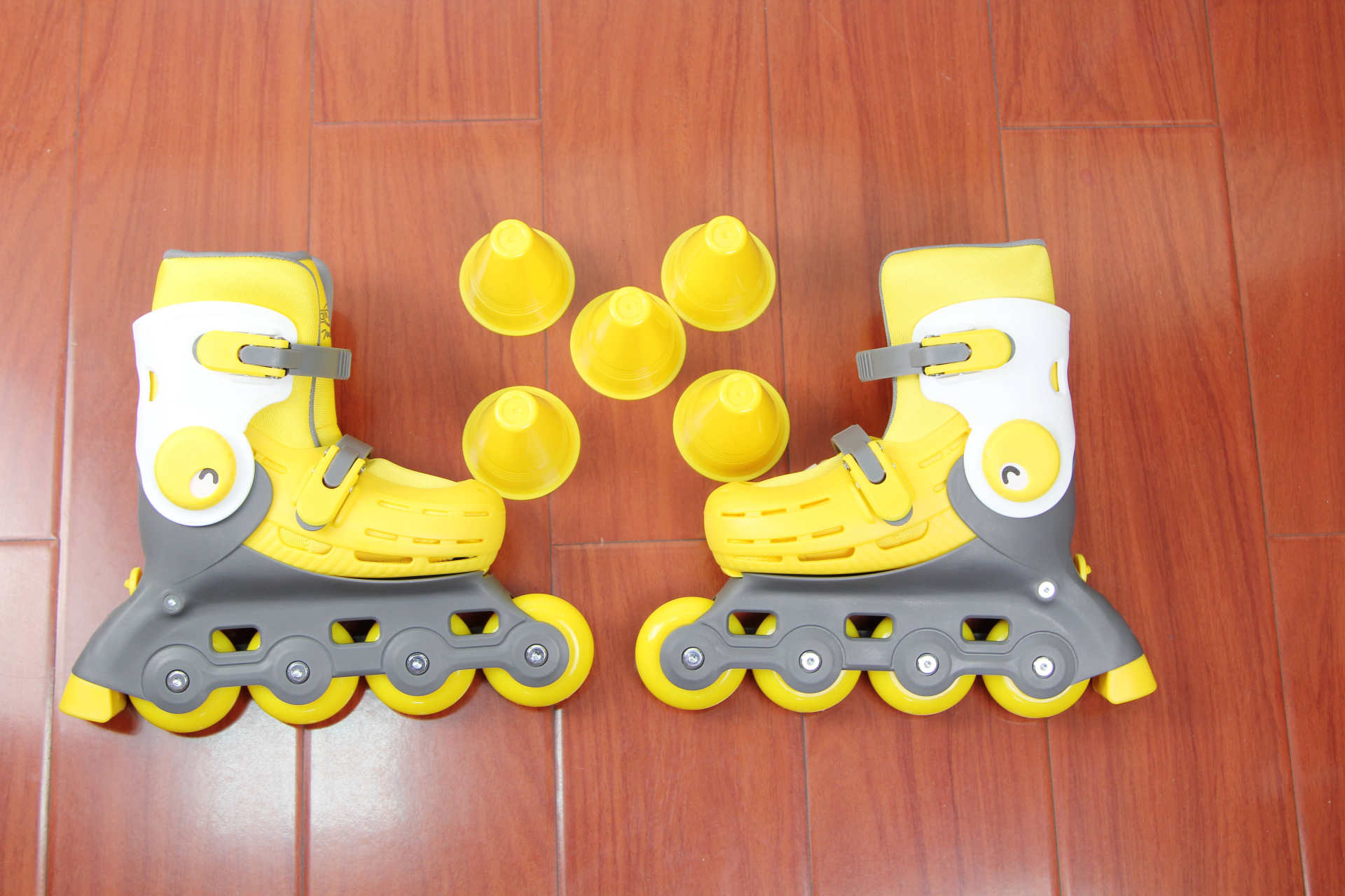 启蒙运动课趣味,启蒙运动的课程