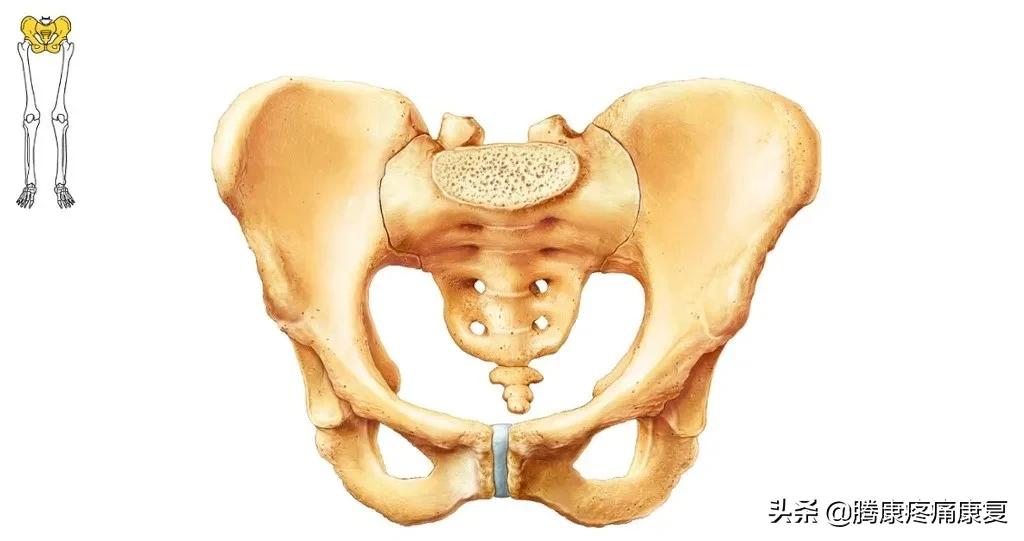骶髂关节疼痛的原因一般是什么,骶髂关节夜间疼痛口服什么药品