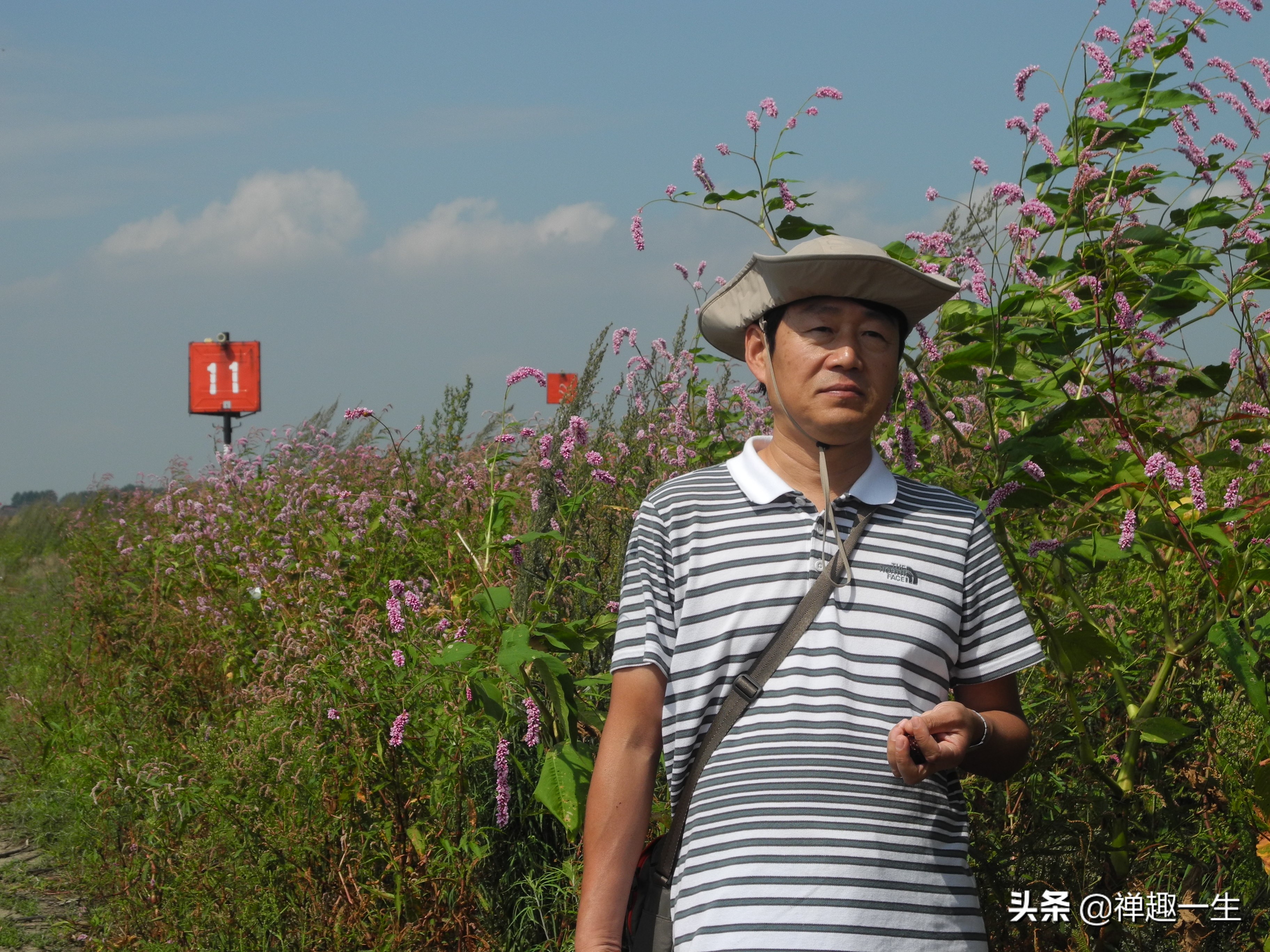 不是太阳岛！但大美湿地却都有一个像太阳般美丽的名字