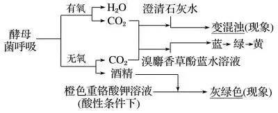 高中生物实验方法归纳图怎么画的,高中生物实验专题归纳