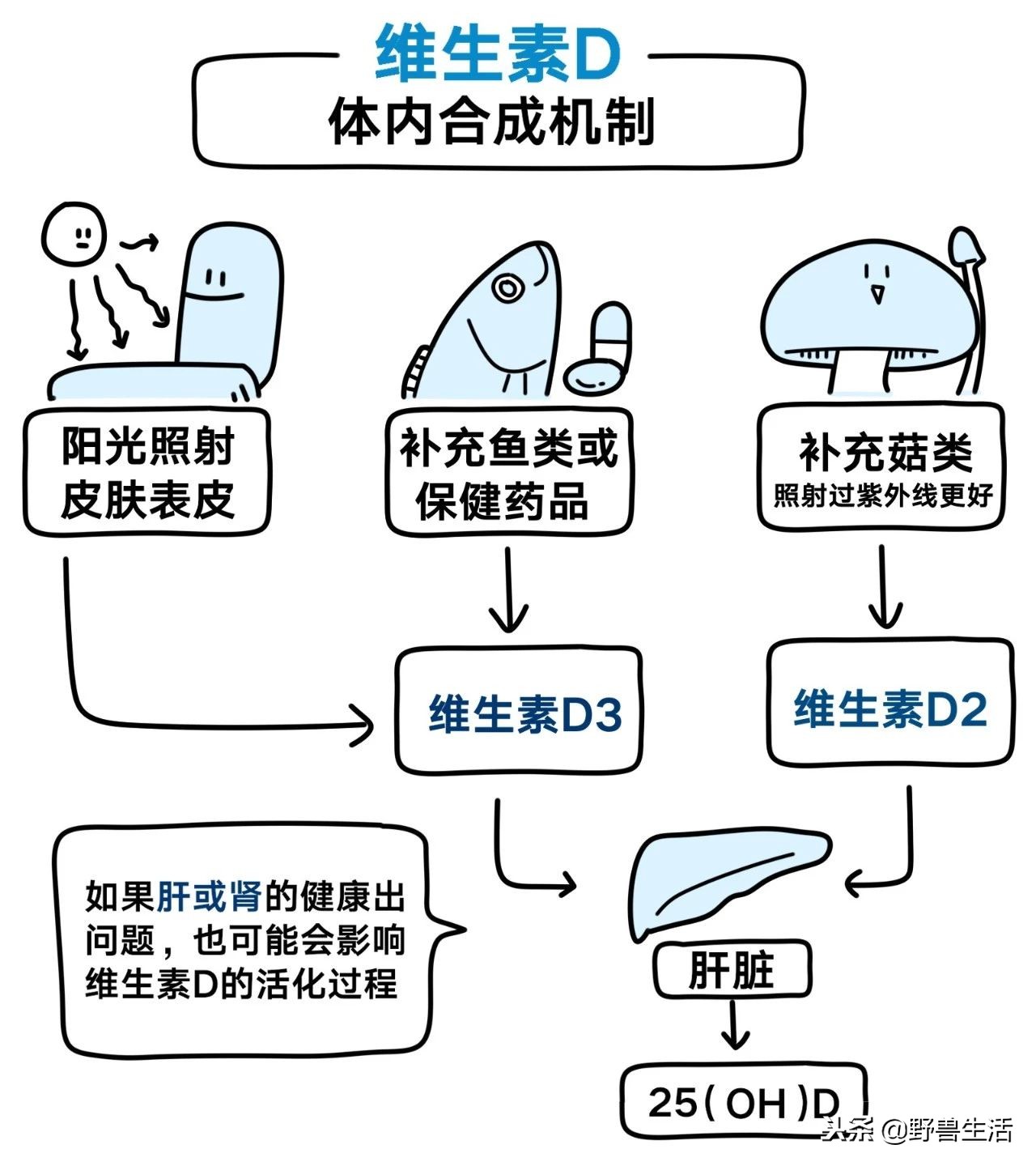 这4种维生素80%人非常缺,三秒判断出缺哪种维生素