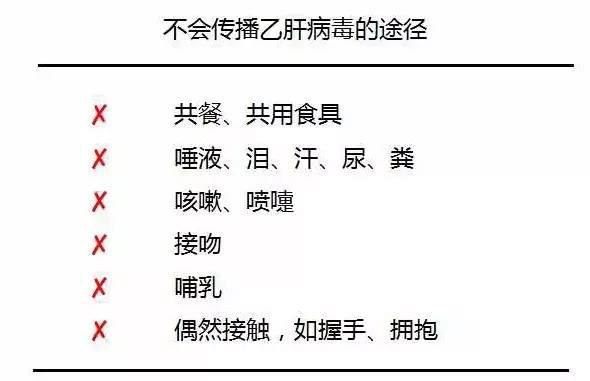 日常生活会传染乙肝不,日常生活接触会传染hpv病毒吗