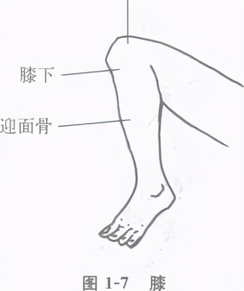 中国擒拿术擒拿十八法全教程,擒拿术基本功训练