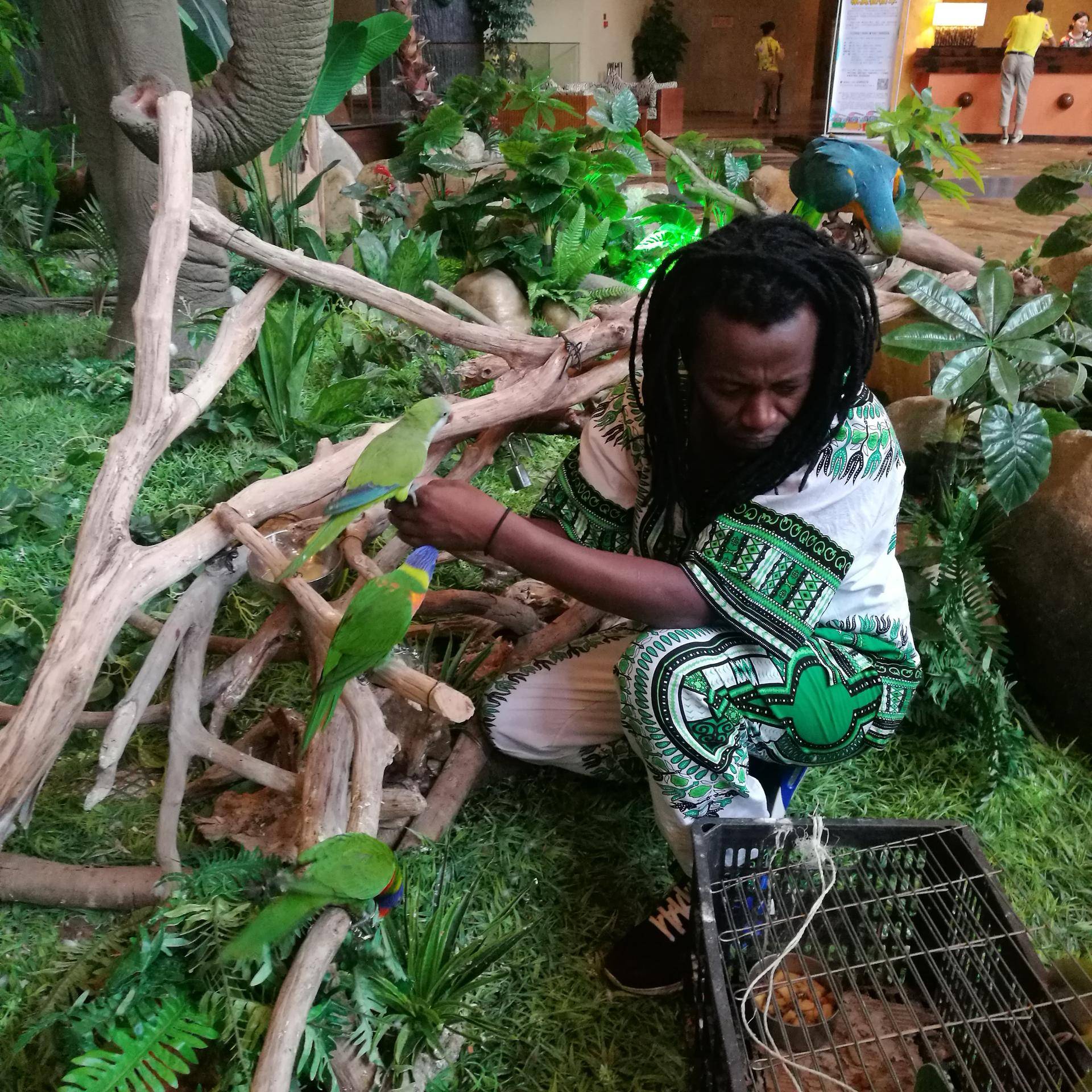 厦门灵玲动物王国游玩时间,五一去哪个动物园玩亲子一日游