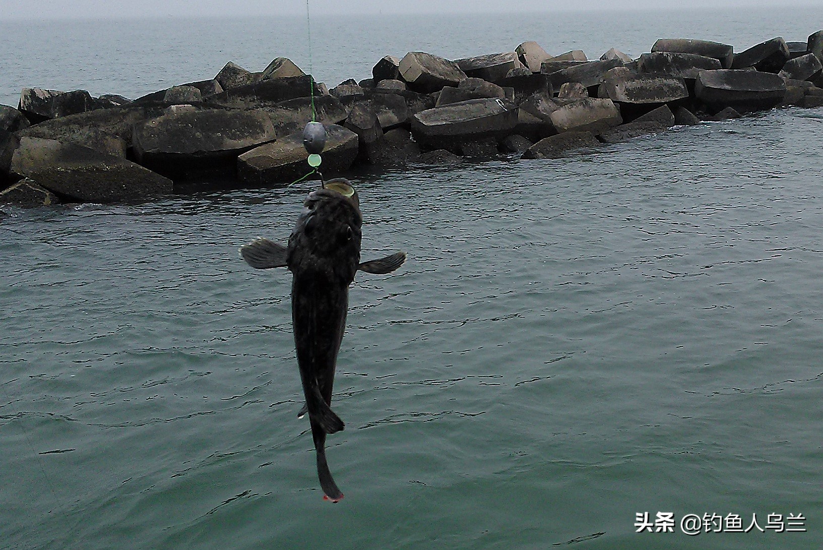 野钓路亚怎么能钓到大鱼,路亚怎么钓才不容易挂底