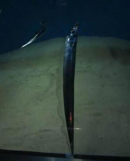 古代奇葩知识大全,古代女人的奇葩冷知识