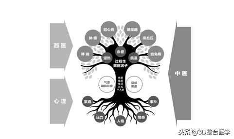 3D医学动画,3d医学动画解说