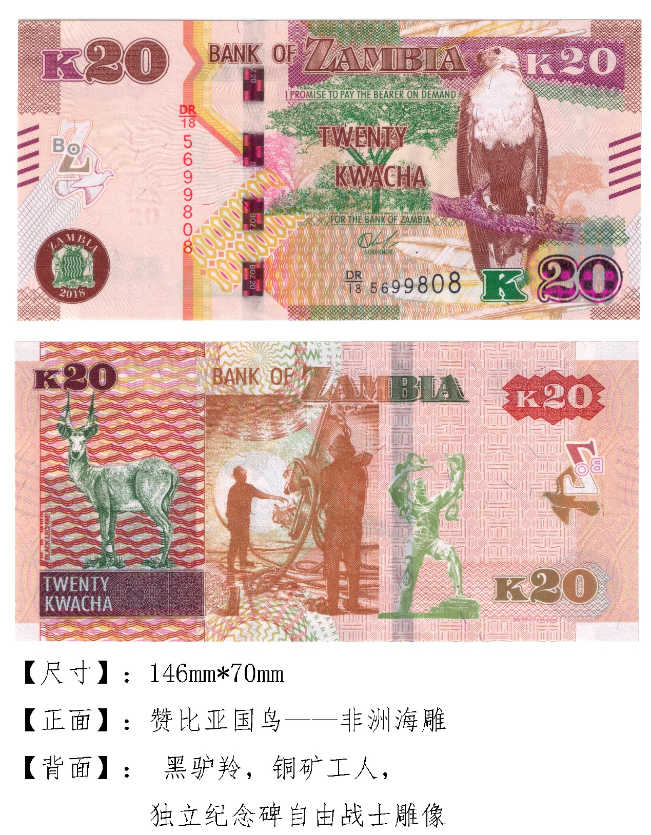 有趣的钱币之非洲篇——赞比亚克瓦查