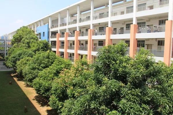 「中山名校解读」华南师范大学中山附属中学