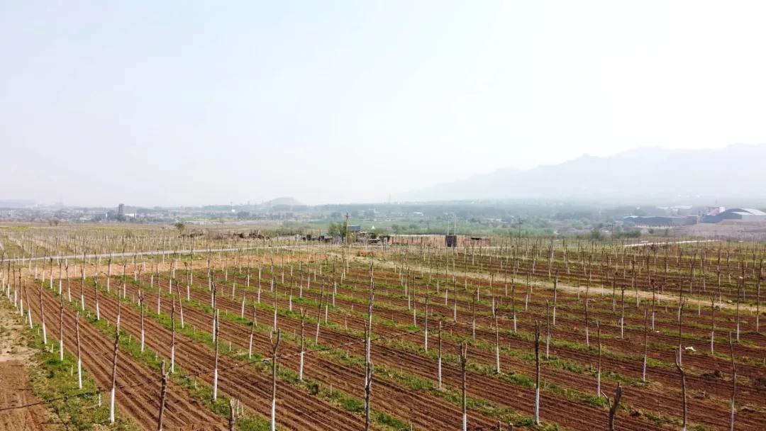 峰峰矿区哪个乡镇最好,峰峰美丽乡村都有哪些