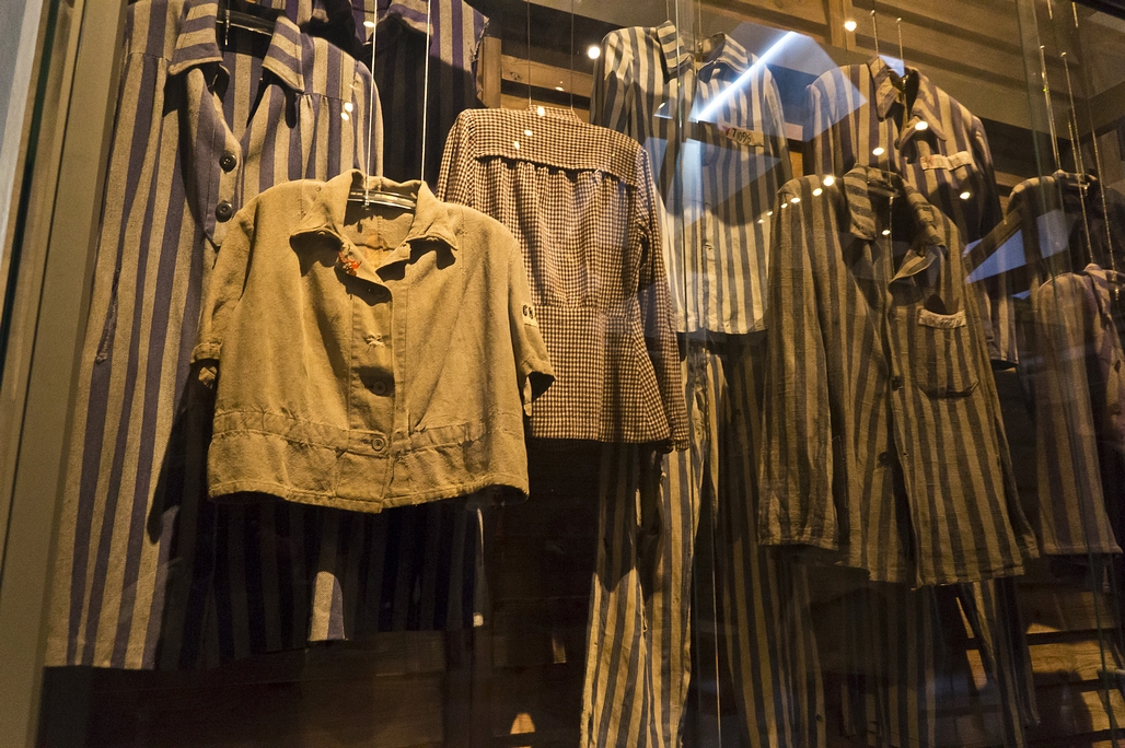 二战时德国为什么大肆杀害犹太人,德国为什么会在二战杀害犹太人