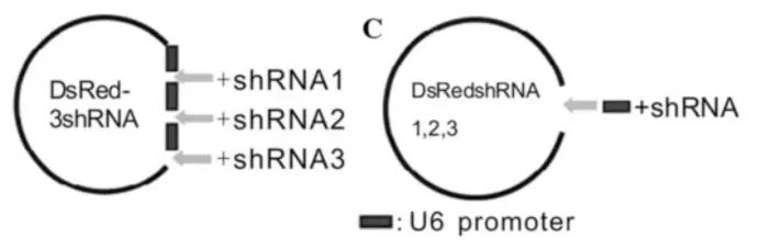实验总是做不好怎么办,实验难做怎么办
