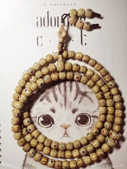 星月菩提手串盘了10年价值,星月菩提手串为什么价格差距大