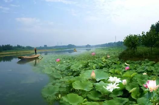 崔崑事迹及感悟,王濛讲述自己的经历