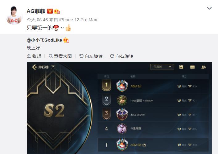 ag小小飞达摩,ag小飞登顶lol手游