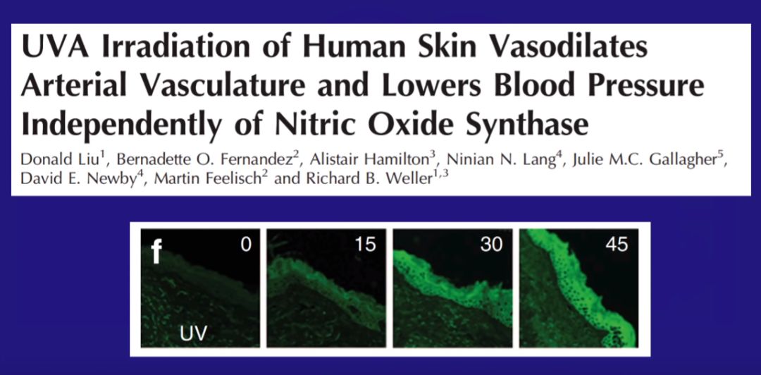 老外喜欢晒太阳不怕老吗,老外喜欢晒黑自己