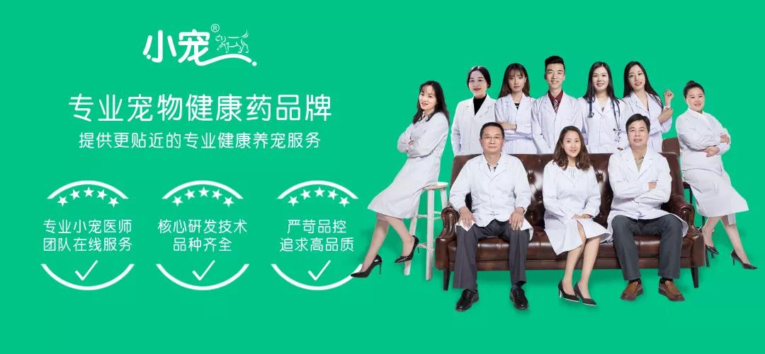 狗发情流血可怕？了解春季狗狗的发情期，不让你尴尬不让狗生病