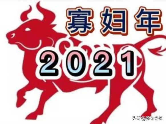 2021是辛丑年，俗语：“寡年不逢春，遇牛五谷登”，什么意思