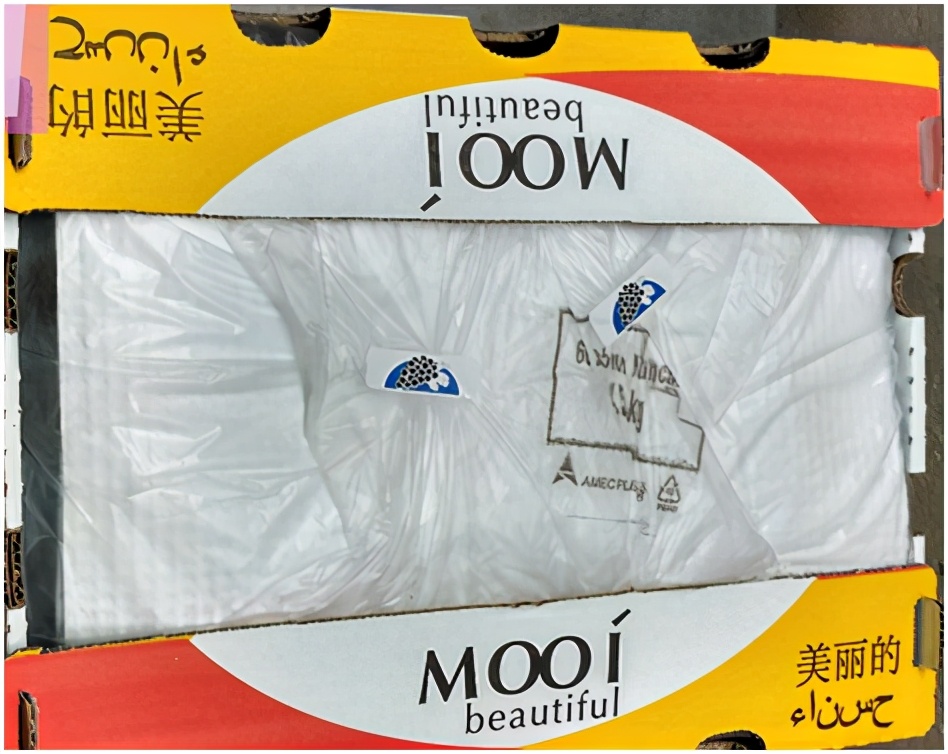 提子品种和介绍 (提子的品种都有哪些)