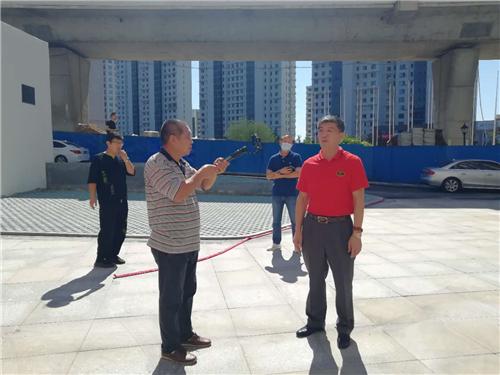 梧桐引来金凤凰视频,梧桐引得凤凰来出处