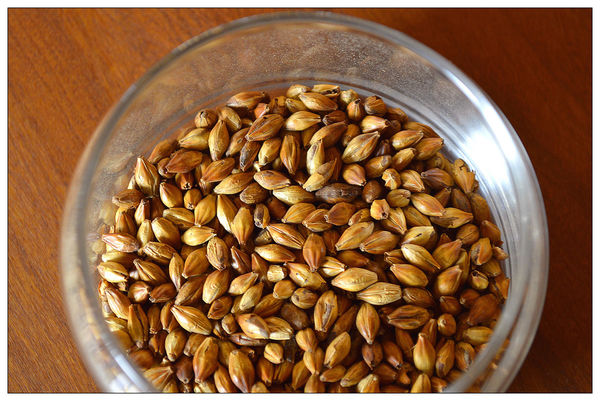 台湾工业旅游观光工厂,台湾工业观光厂