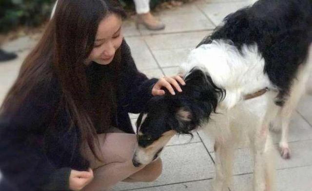 为什么要提倡领养代替买卖,为什么要提倡领养代替购买