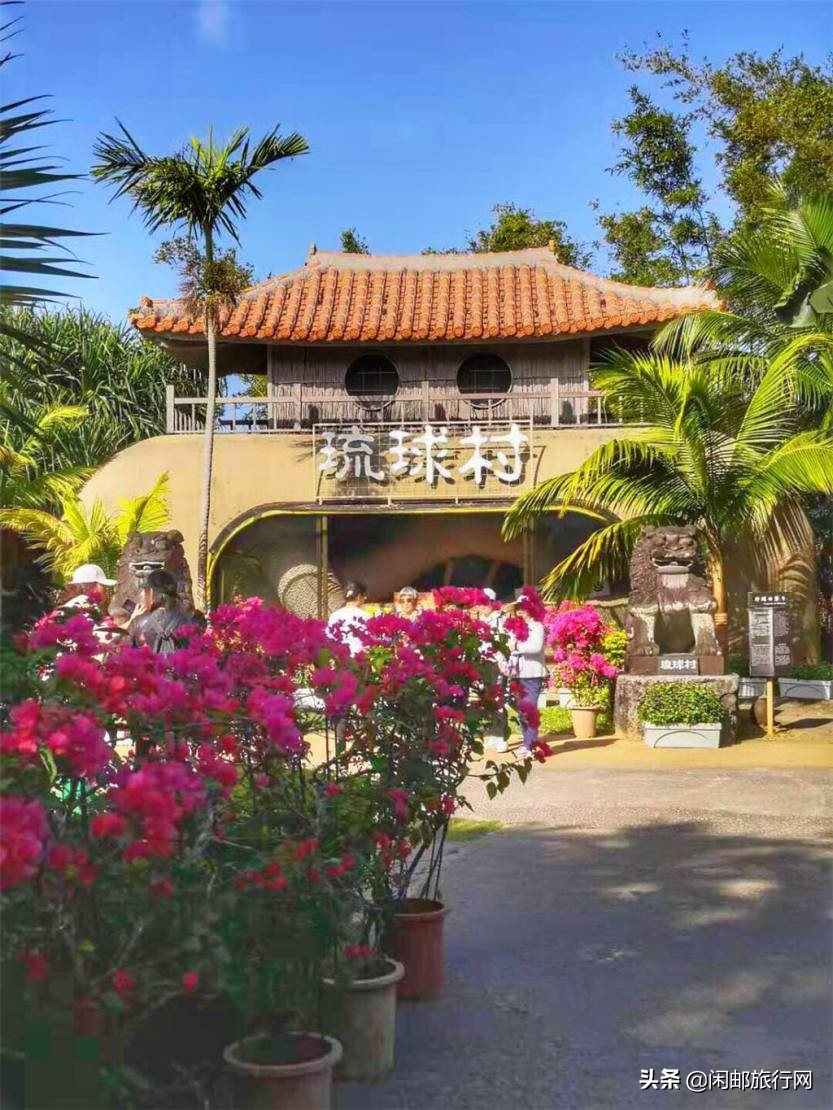 同仁健康筑梦远航2019.11.11海洋光谱号狂欢之旅