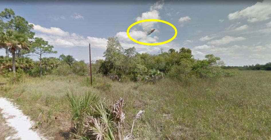 美国官方公布ufo报告了吗,2021年美国正式公布ufo是真的吗