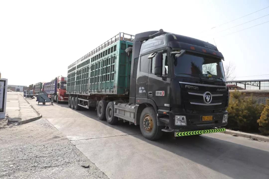 “内蒙古粮仓”通辽市：粮食增产又增收