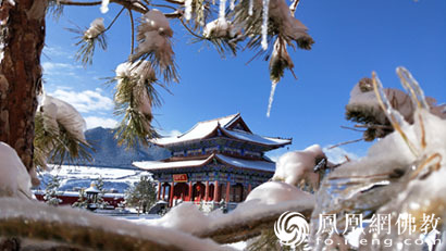 法师消除烦恼的忠告,济群法师八步骤