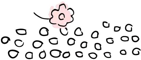 凉山州哪里可以赏花,西昌赏花攻略