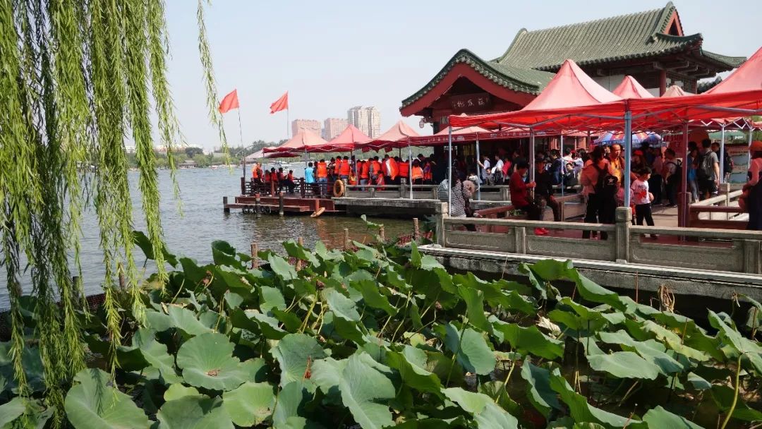 济南这座城市带来了太多的回忆,济南是一座四季美如画的城市