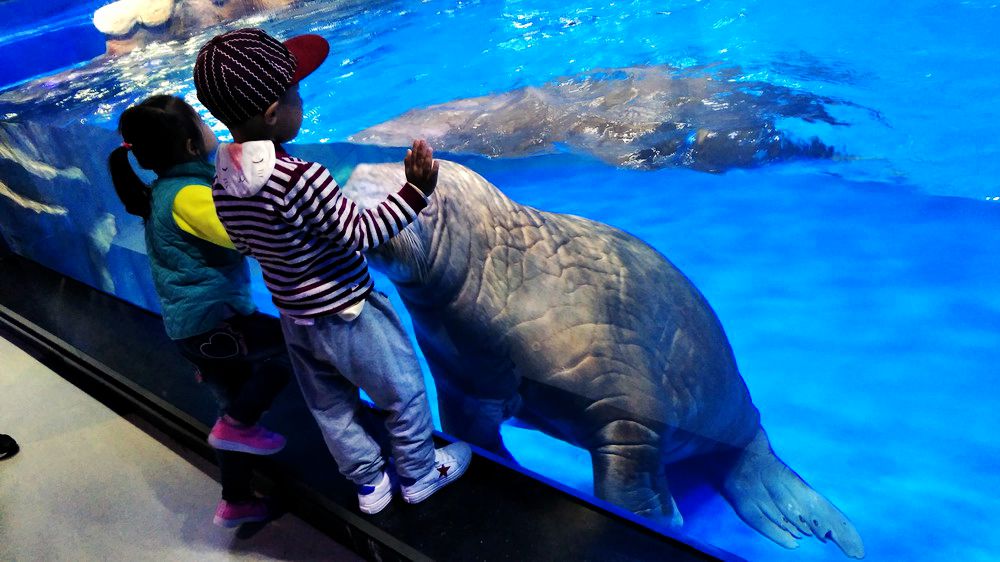 与爱同行发现之旅携南宁儿童康复中心“星星”快乐游