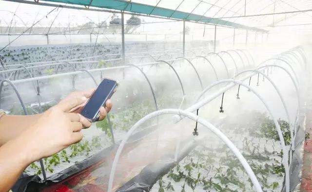 数字农业的未来前景,新农业创业前景无限