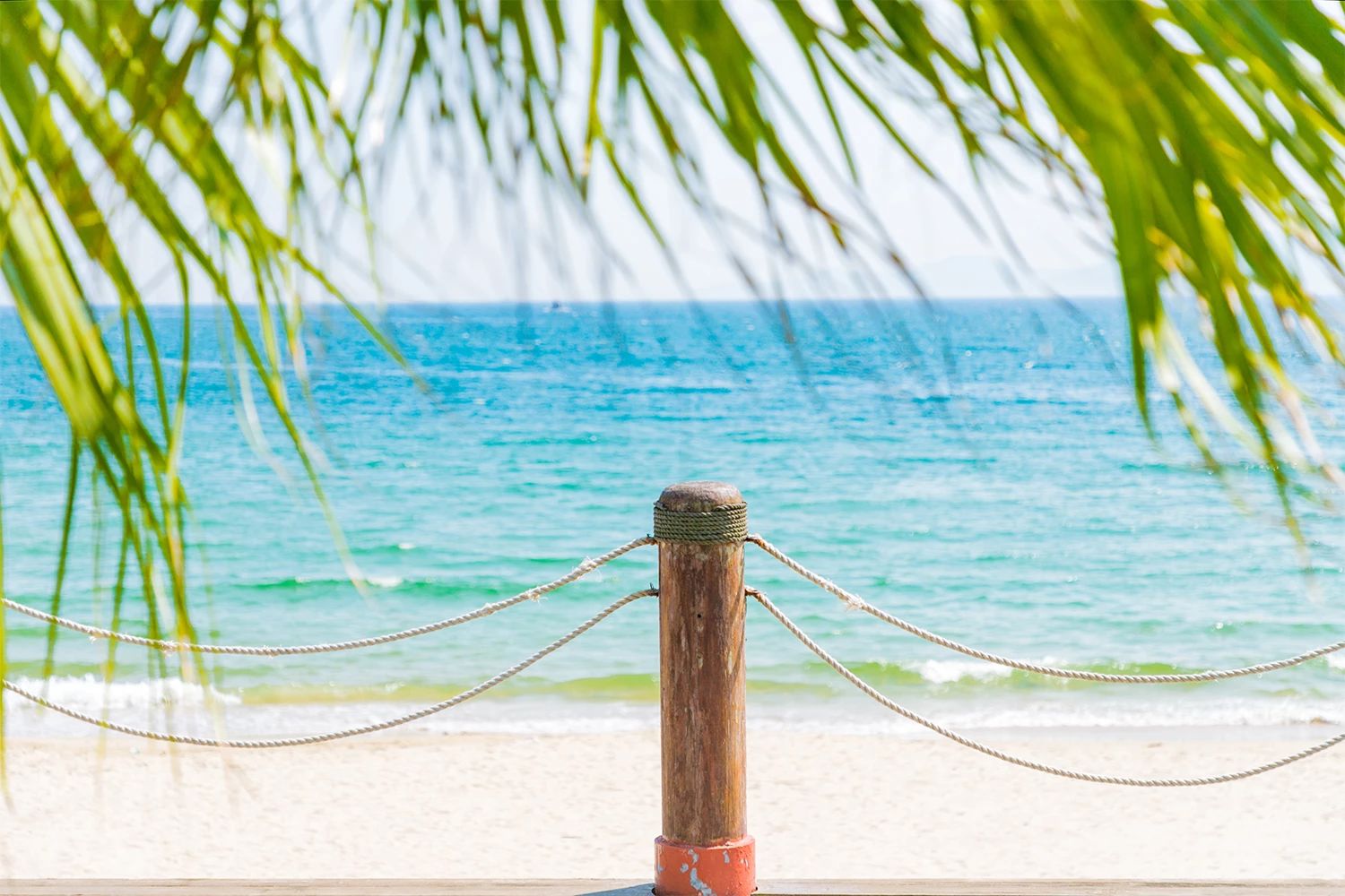 深圳游玩合集,深圳世界之窗游玩攻略必玩项目