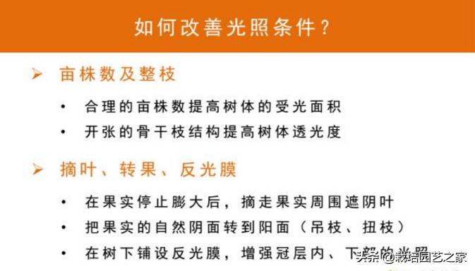 葡萄上色哪种最好,葡萄需要上色的有哪些品种