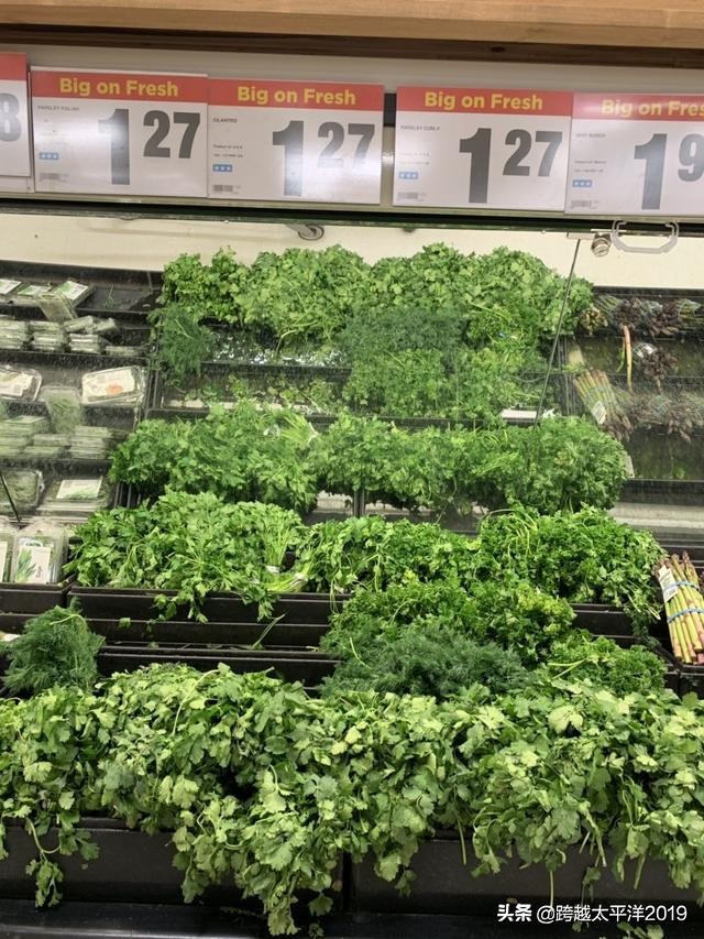 加拿大多伦多costco购物必买 (加拿大必买超市)