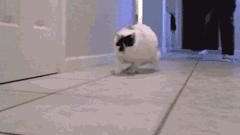 刘德华演唱会失声痛哭完整版后续,刘德华2018演唱会哭片段