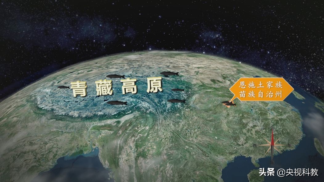 鱼泉洞穴,会冒鱼的山洞是什么