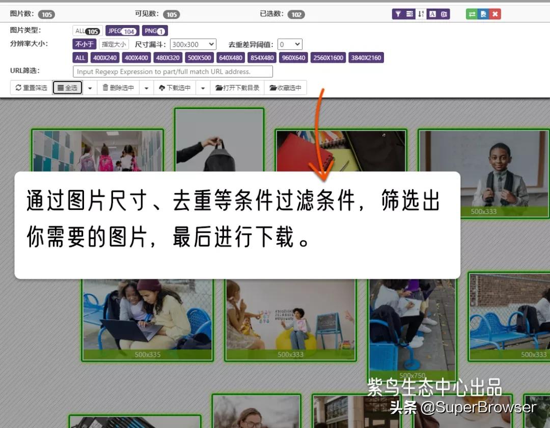 想要批量*载下**图片？这2个宝藏工具帮你搞定