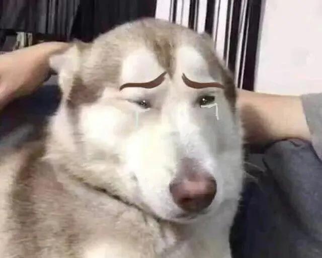 硬核开易拉罐神器，二话不说！直接把脑壳掀翻！