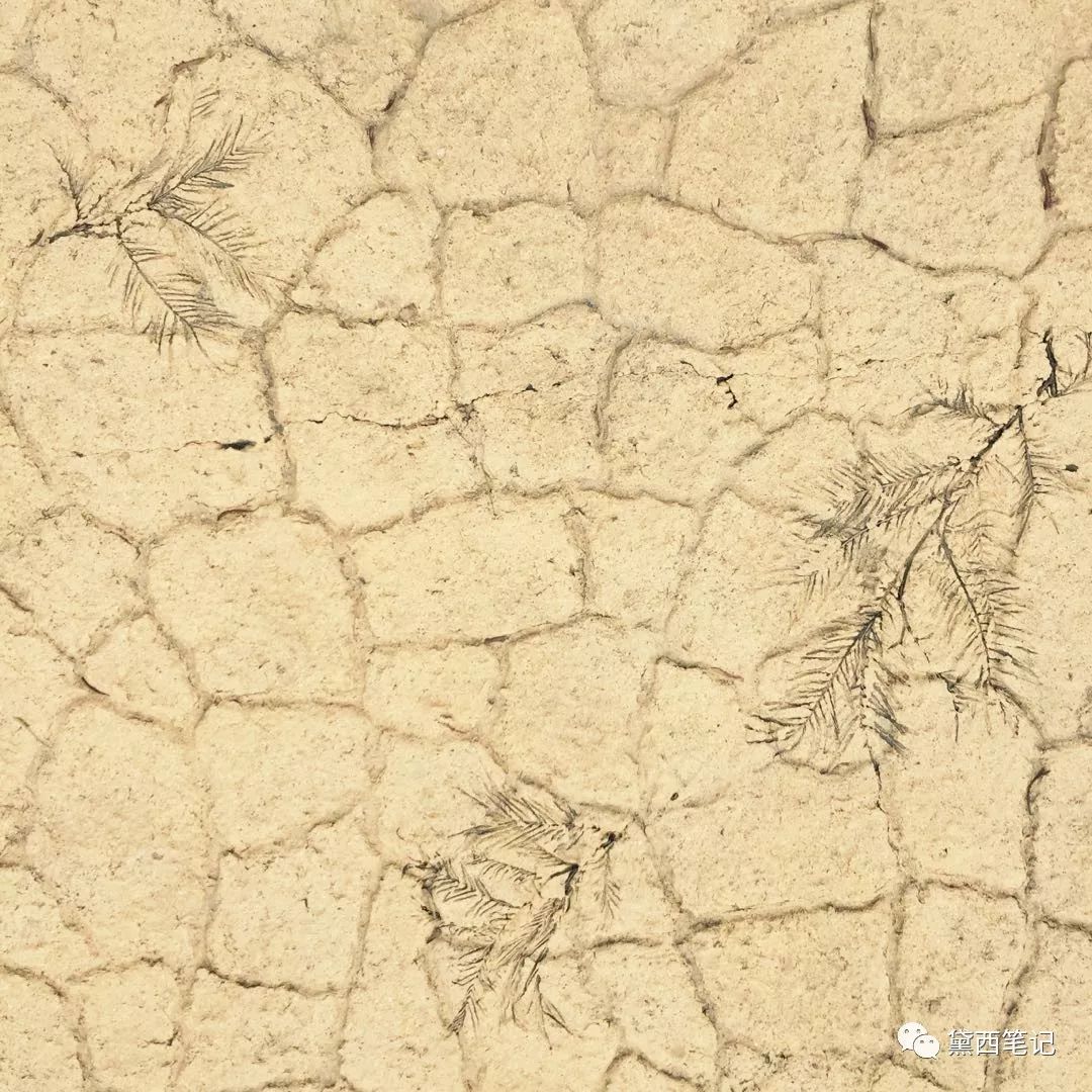 上海迪士尼酒店加乐园全攻略,上海迪士尼乐园酒店官网预订