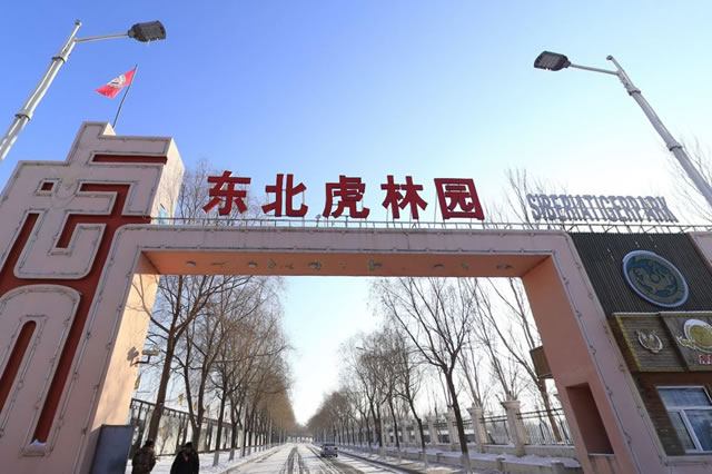 哈尔滨亲子旅游地方推荐,哈尔滨十大亲子游地方是哪