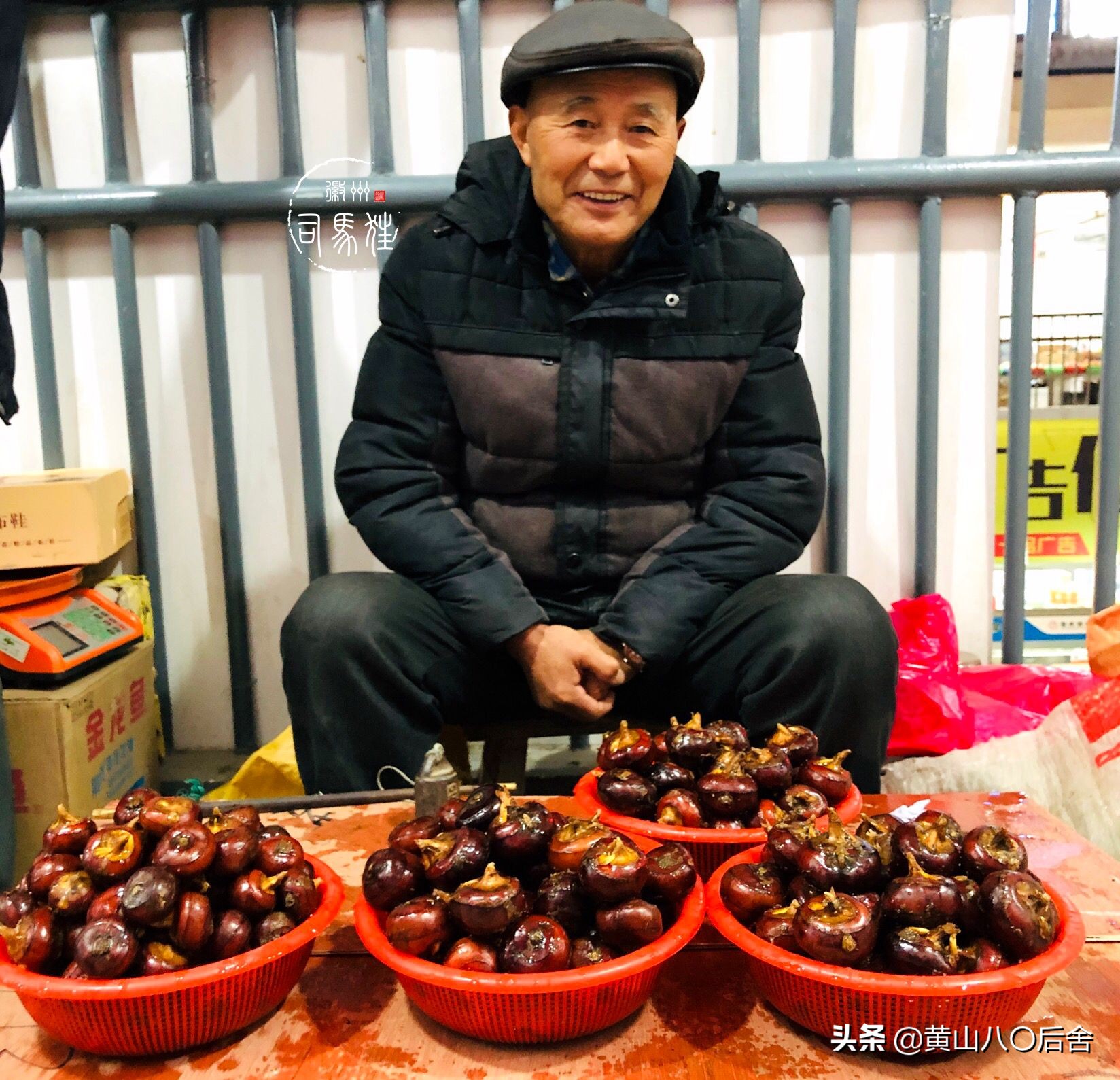 鑸屽皷涓婄殑缇庨鑽歌崰,鑸屽皷涓婄殑涓浗榛勫北姝欏幙鑽歌崰